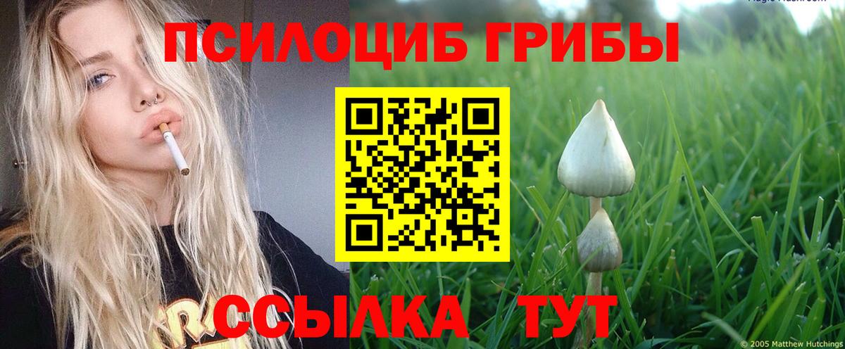 Камышин  Галлюциногенные грибы GOLDEN TEACHER  Вход с VPN  Галлюциногенные грибы MAGIC MUSHROOMS 
